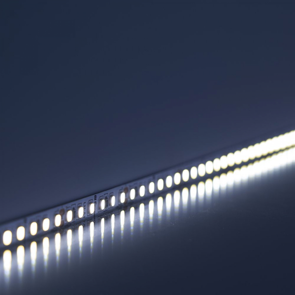 Светодиодная LED лента Feron LS502 180SMD(2835)/м 16Вт/м 24V 5000*10*1.22мм 6000К