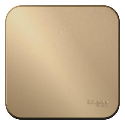 Выключатель 1-кл. ОП Blanca 10А IP20 (сх. 1) 250В с изолир. пластиной титан SchE
