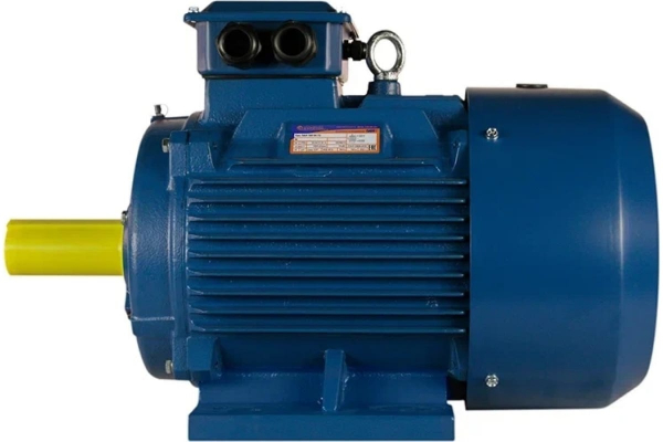 Двигатель электронный 5АИ 280 s6 75/1000 IM 1001