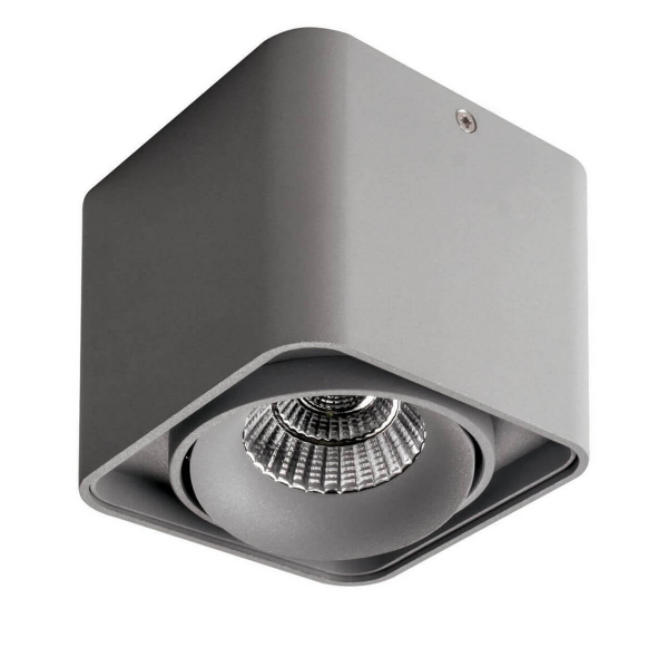 Светильник MONOCCO LED 10W 860LM 30G 4000K серый (в комплекте)