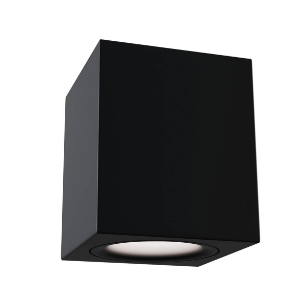 Потолочный настенный светильник Maytoni Alfa C013CL-01B