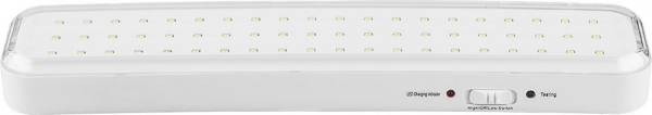 Светильник аккумуляторный Feron EL121 AC/DC с наклейкой, 60LED/дневной, 100-240V, IP20, 330*73*30мм