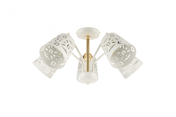 Потолочный светильник Lumin'arte FONTANA-CL60E27-5WH