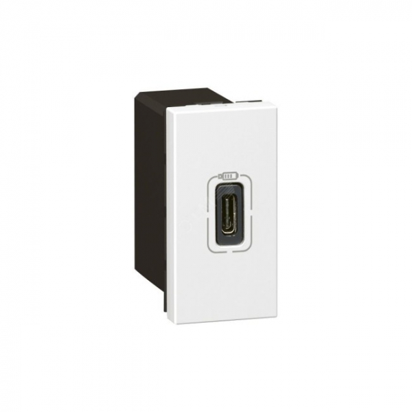 Розетка USB-C для зарядки - Программа Mosaic - 1 модуль белый