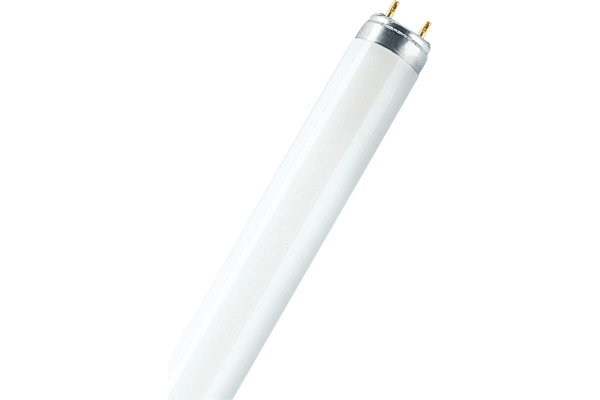 Лампа люминесцентная L 18W/830 LUMILUX 18Вт T8 3000К G13 смол. OSRAM 4058075693050