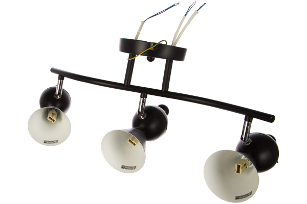 Светильник потолочный Luminarte Bird-CL40G9-3BL 3*G9
