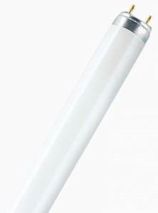 Лампа линейная люминесцентная ЛЛ 36вт TLD 36/54-765 G13 дневная Philips