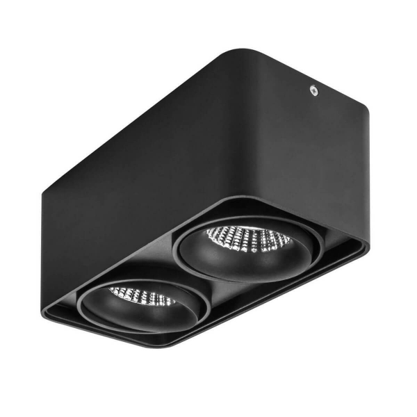 Потолочный светодиодный светильник Lightstar Monocco LED 2х10W 1200LM 30G 4000K черный (в комплекте)